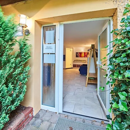 Modern With Terrace