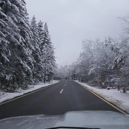 Modern With Terrace Holiday home